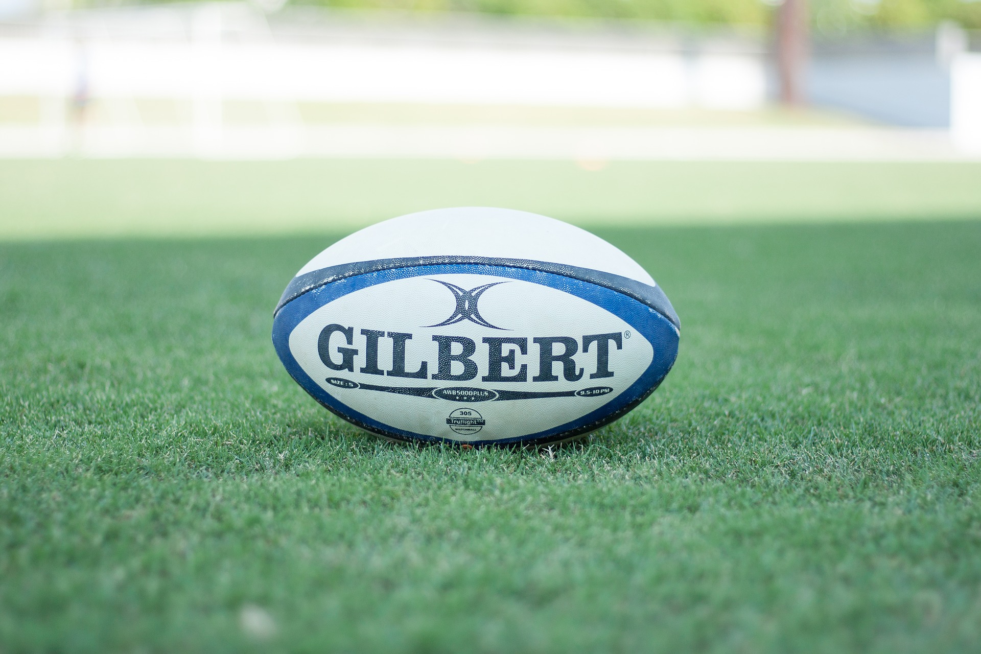 Tips for Betting on Rugby