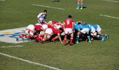 Rugby World Cup 2019 – What Happened?